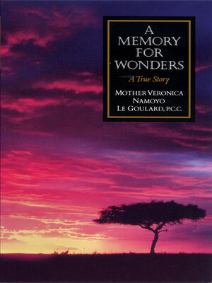 cover image of A Memory for Wonders